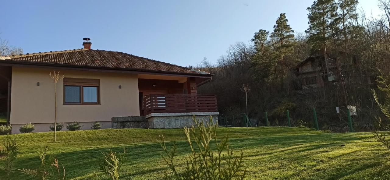 Babakaj Villa Golubac Dış mekan fotoğraf